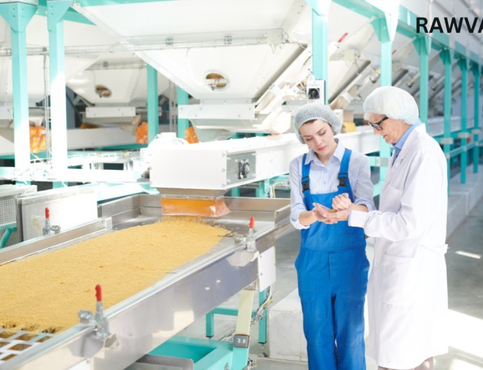 Brussels Opens Pasta Factory Jobs With Visa Support and Free Housing