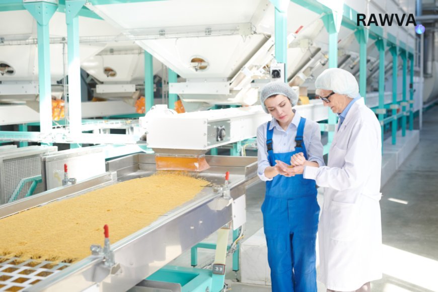 Brussels Opens Pasta Factory Jobs With Visa Support and Free Housing